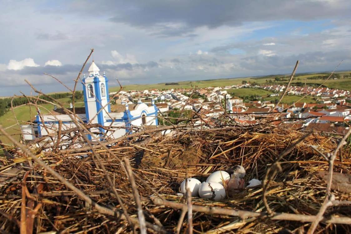 A Praia Da Messejana ภายนอก รูปภาพ